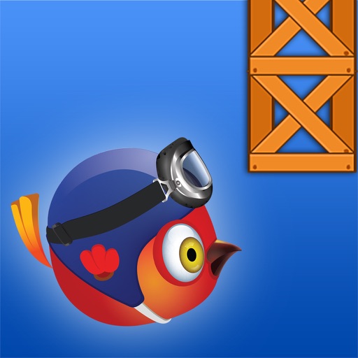 Googly Bird iOS App