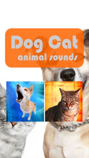 Dog cat animal cry laugh sing song funny sounds(圖1)-速報App