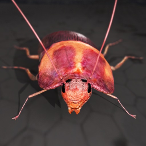 Roach Rage HD Icon