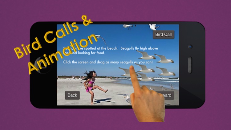 The Bird Book - an Interactive Storybook for Children