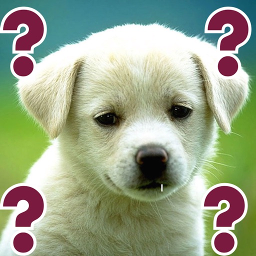 Guess Puppy: Reveal Your Favourite Puppies Breed icon