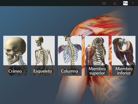 3D Osteoartrosis screenshot 2
