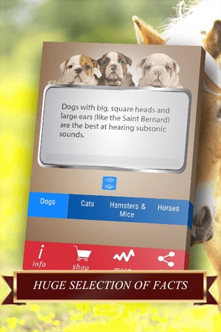 Pets Facts PRO - Trivia for Animal Lovers screenshot 3