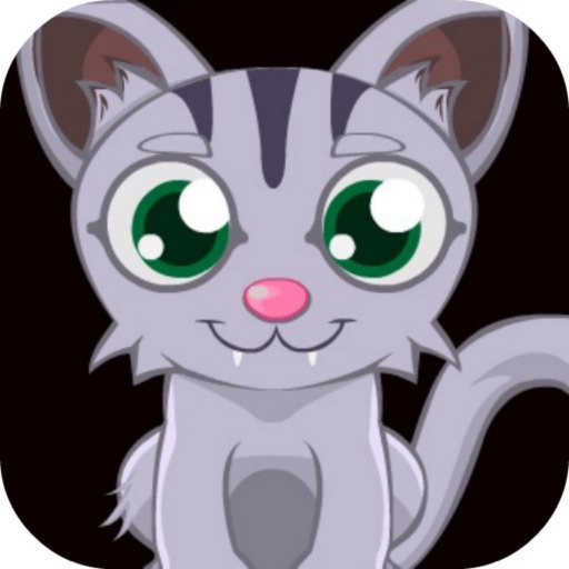 Take care of kittens icon