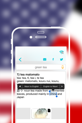 Offline Maori to English Language Dictionary screenshot 4