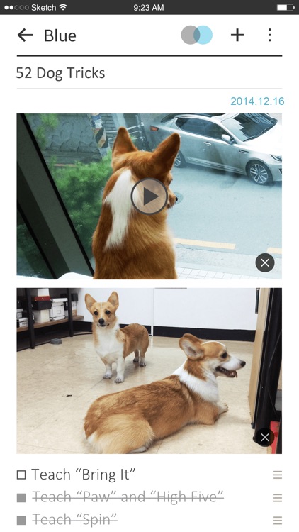 Colors Memo screenshot-4