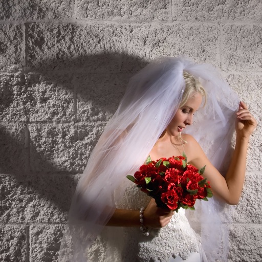Wedding Hot Shots Composition by David Ziser icon