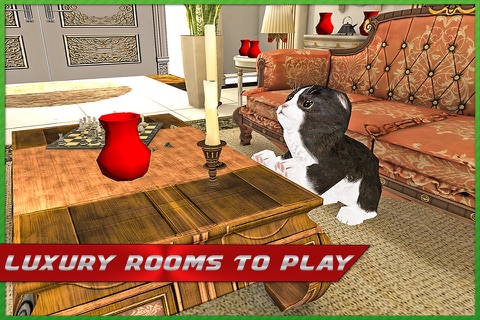 Crazy Kitty Cat Madness 3D screenshot 2