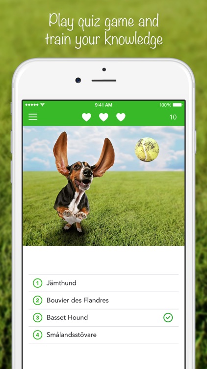 iKnow Dogs 2 PRO - NATURE MOBILE - Dog Breed Guide and Quiz Game screenshot-3