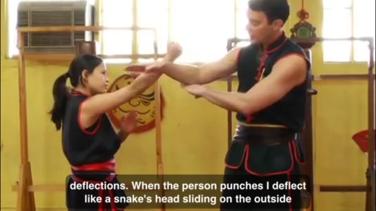 Wing Chun Techniques