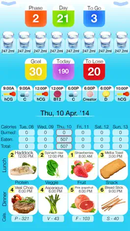 Game screenshot hCG Diet Life Pro mod apk