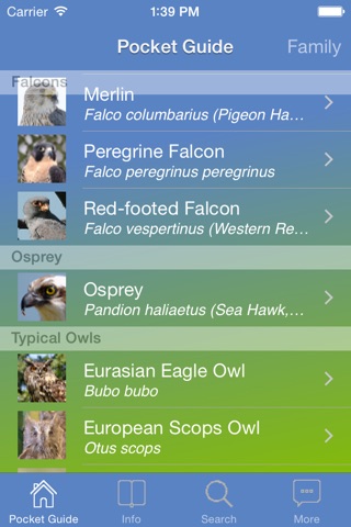 Pocket Guide UK Birds of Prey screenshot 3