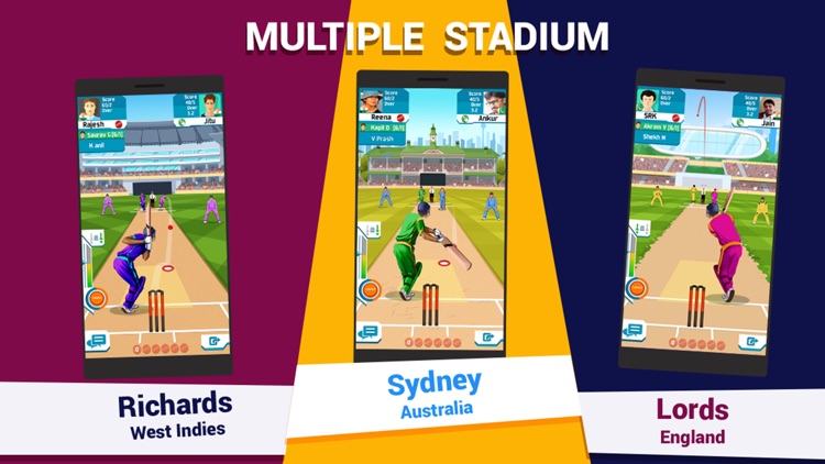 Multiplayer Cricket Live