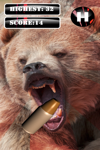 Grizzly Bear Hunt-ing Bullet Juggle Game screenshot 2