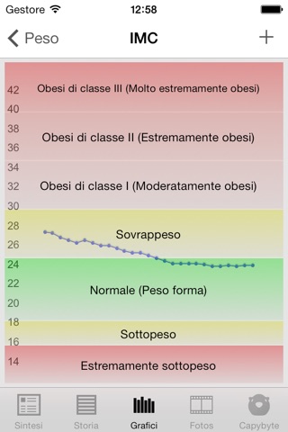 WeightMotion screenshot 4