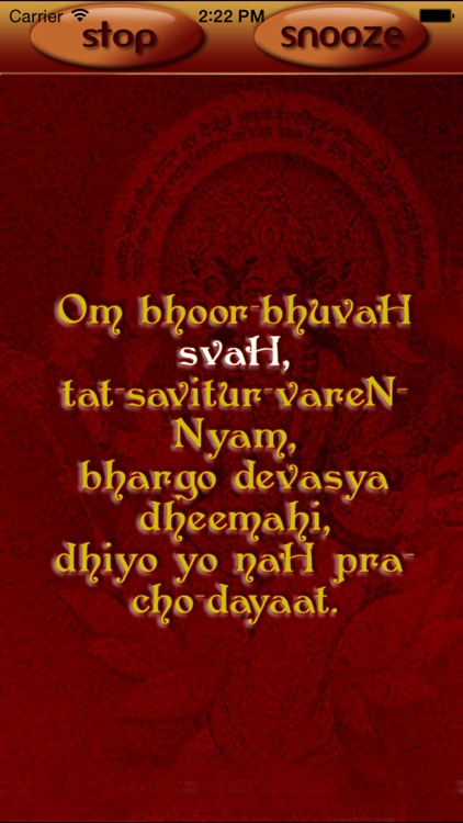 Gayatri Mantra-Awake you spiritually screenshot-4