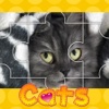 Cats Photo Puzzle(Сat Jigsaw Puzzles)
