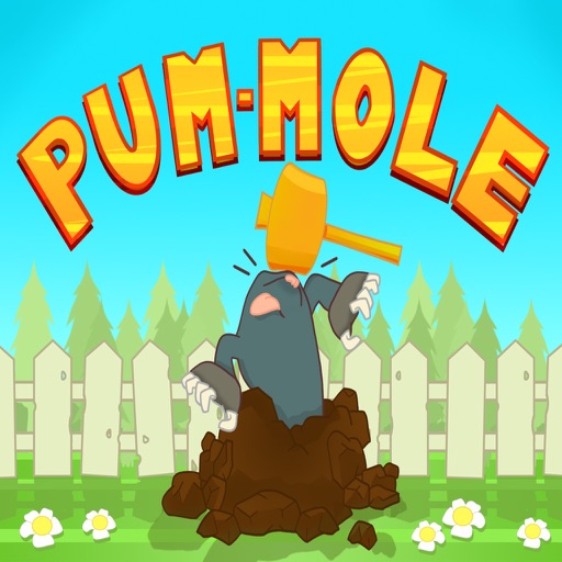 PunchMole iOS App