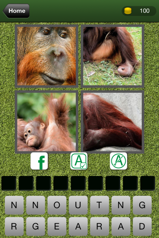 4 Pics 1 Animal Free - Guess the Animal from the Pictures screenshot 4