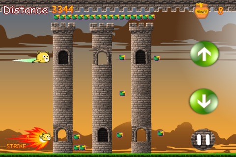 Flying Bear - Honey Battle Game screenshot 3