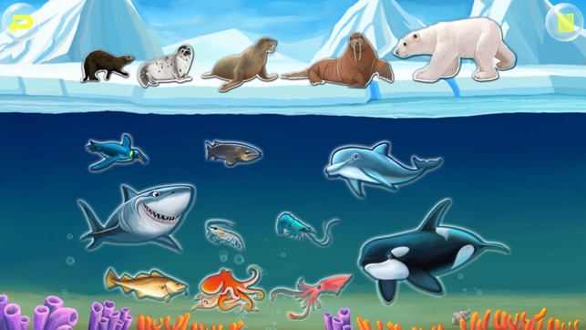 Amazing Ocean Animals- Educational Learning Apps for Kids Fr(圖1)-速報App