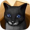 CatBall 3D - Delicious Treat PRO