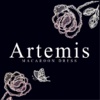 Artemis Boutique