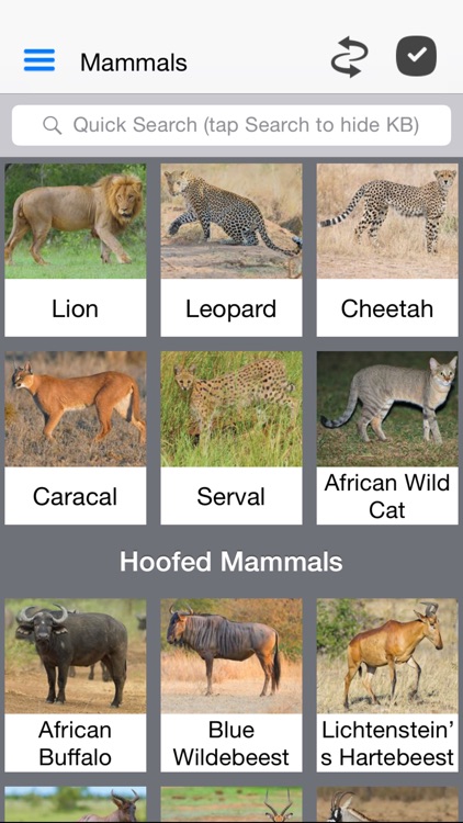 Animals of Kruger screenshot-3