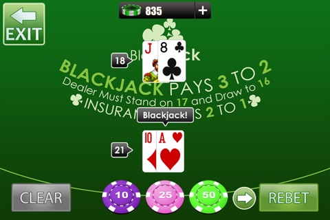 Blackjack 21 - Pro! screenshot 2