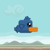 Yo Bird : Learning to Fly. Free game, challenge down friends, share score to Twitter or Facebook.