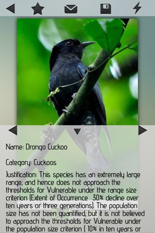 Cuckoos Guide screenshot 3