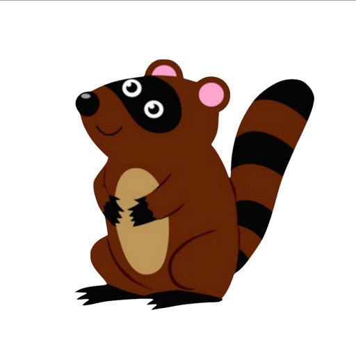 Run Raccoon Run iOS App