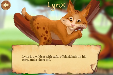 Forest Animals: Interactive Encyclopedia for Kids about European Fauna screenshot 3