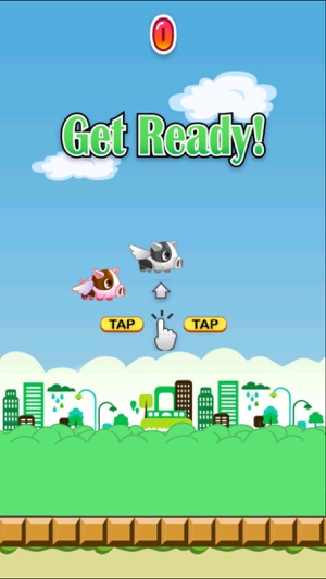 Hoppy Pig - The Adventure Road of 2 Tiny Bird(圖1)-速報App