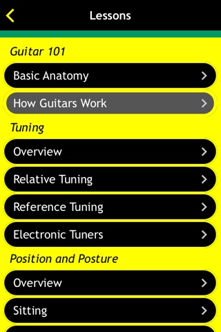 Guitar Basics For Dummies screenshot 2