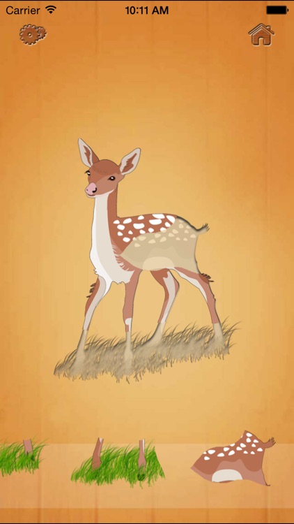 Animals Puzzle Woozzle