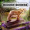 Hidden Scenes is a game similar to a jigsaw puzzle where you swap and flip the pieces to reveal the hidden scene