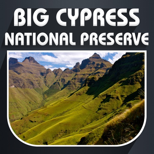 Big Cypress National Preserve Travel Guide