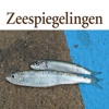 Middellandse Zeespiegelingen