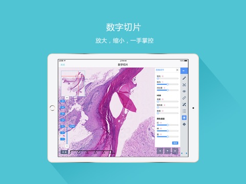 91360数字病理远程会诊平台 HD screenshot 2