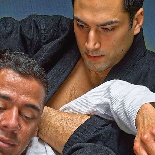 Brazilian Jiu Jitsu: Purple Belt Requirements iOS App