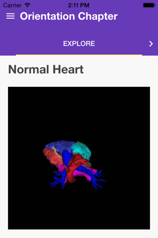 Heart Defects screenshot 2