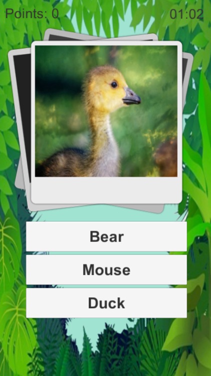 Animal Quiz Kids