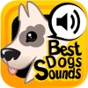 The Best Dogs Sounds+