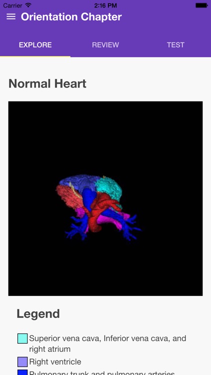 Heart Defects