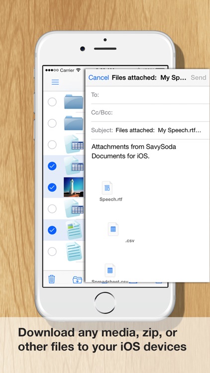 TextEditor : Plain & Rich Text Editor and Word Processor