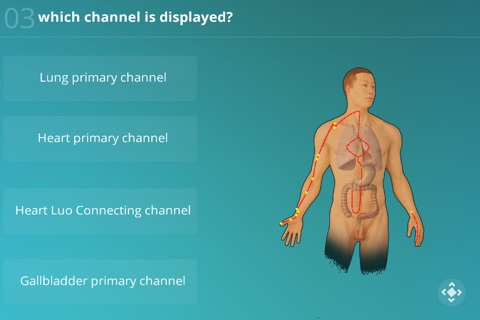 Acupuncture Quizzes screenshot 3