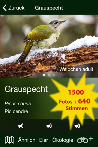Alle Vögel Luxemburg - ein vollständiger Naturführer zu allen Vogelarten Luxemburgs screenshot 2