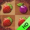 Fruits Pair Up HD Free