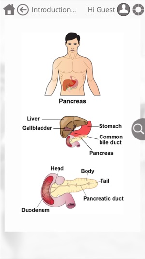 Learn Hepatitis and Diabetes by GoLearningBus(圖4)-速報App